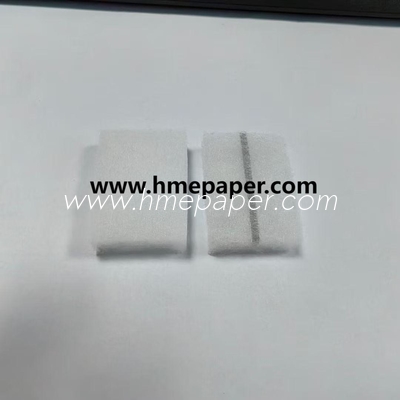 주문 제조업자 피셔 & 페이켈 에슨 환기 필터에 적용되는 일회용 CPAP 필터 online manufacture